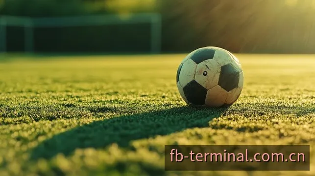 FB终端APP超清多视角赛事转播全画幅展示